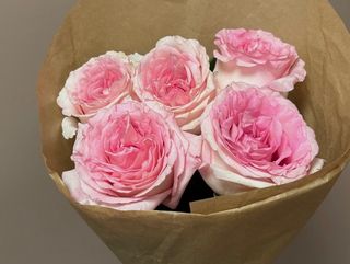 5 róż różowo-białych