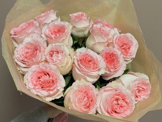 15 róż różowo-białych