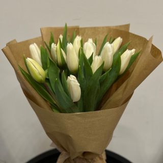 15 białych tulipanów