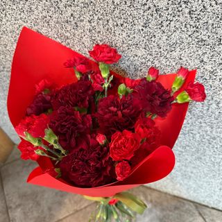 Bukiet z 9 czerwonych goździków