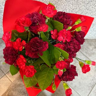 Bukiet z 15 czerwonych goździków