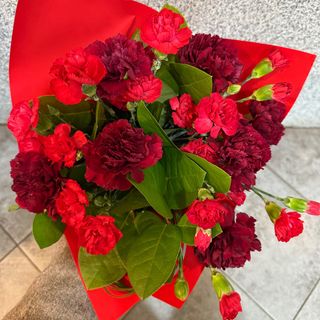 Bukiet z 21 czerwonych goździków