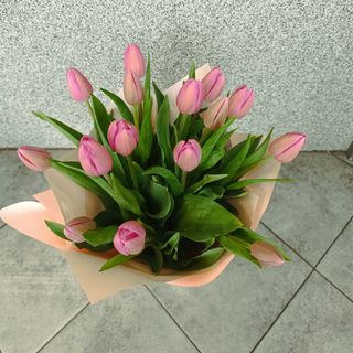 Bukiet z 21 czerwonych tulipanów