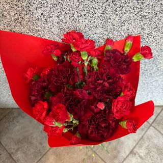 Bukiet z 15 czerwonych goździków