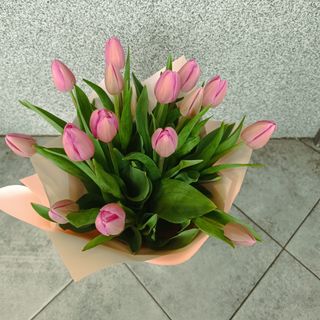 Bukiet z 9 czerwonych tulipanów