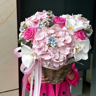 Royal Blush