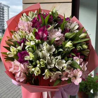 25 alstroemerii mix kolorów