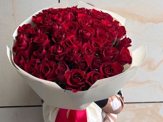 Promo 51 Róża czerwona