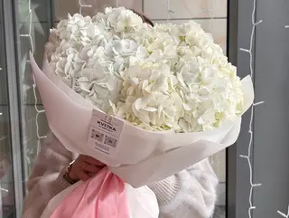 White hydrangea