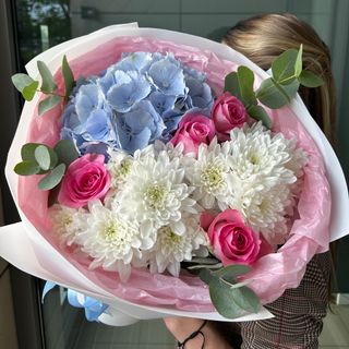 Hydrangea Bliss
