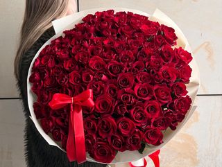 Promo 101 Róża czerwona