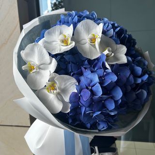 Sapphire Morning