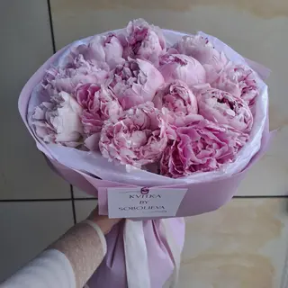 Peoniowy Luksus S