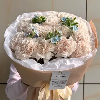 Celestial Softness