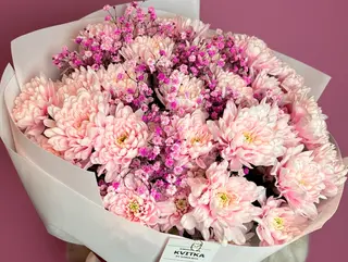 Pink Whisper
