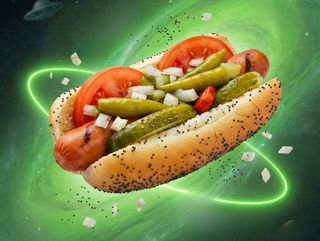 Chicago Dog