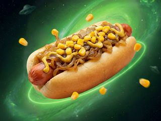 New York Dog