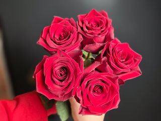 5 Róż Premium: Ekwador 70cm