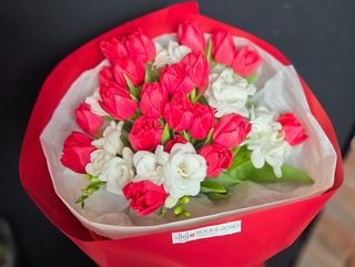 Red & White Elegance