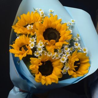 Bukiet słonecznika i stokrotki w niebieskim opakowaniu