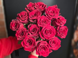 15 Róż Premium: Ekwador 70cm