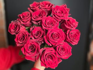 15 Róż Premium: Ekwador 50cm