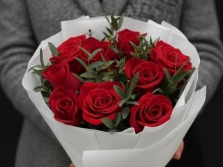 Bukiet 9 czerwonych róż Explorer z pistacją – Elegancki prezent