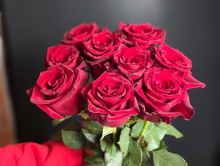 9 Róż Premium: Ekwador 60cm