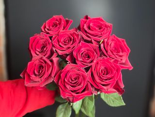 9 Róż Premium: Ekwador 50cm