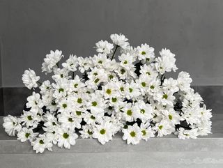 Bukiet z 15 margarytek