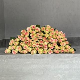 Róża różowa 50 cm 15 szt