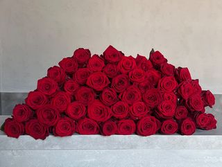 Bukiet z 9 czerwonych róż 50 cm