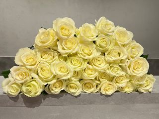 Bukiet z 25 białych róż (50 cm)