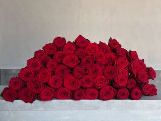 Bukiet z 51 czerwonych róż (50 cm)