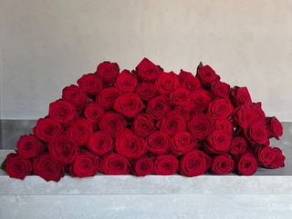 Bukiet z 25 czerwonych róż (50 cm)