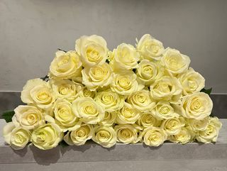 Bukiet z 15 białych róż (50 cm)