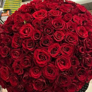 51 czerwonych róż - długość 60 cm