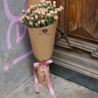 Bukiet Goździków róż / pudrowy róż