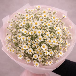 Bukiet № 6 mono – matrikaria  L