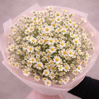 Bukiet № 6 mono – matrikaria  XL