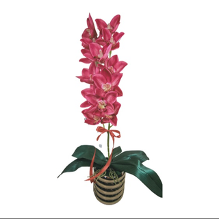 Rubinowa Orchidea