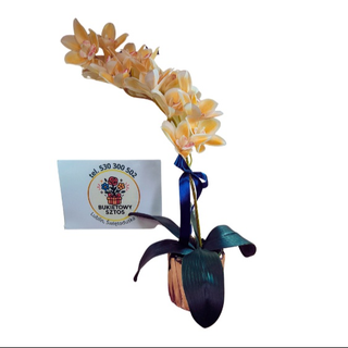 Złota Orchidea