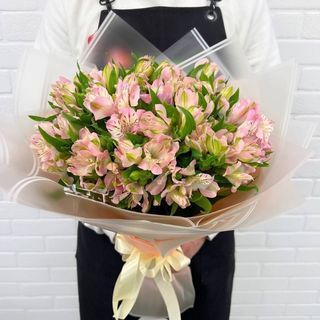 Alstroemeria różowa