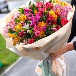 Bukiet alstromeria MIX