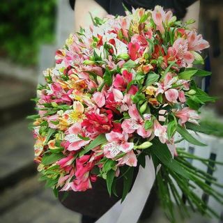 Bukiet alstromeria MIX