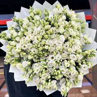 Bukiet eustoma biała