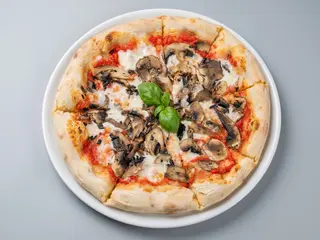 FUNGHI