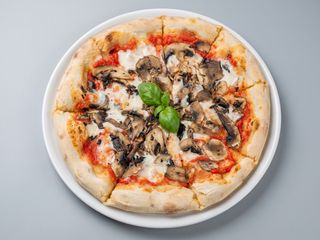 FUNGHI