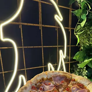 CIACCIATORE