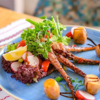 Kalmar na skara gigantus